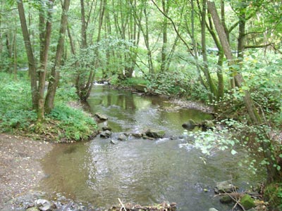 Selke im Harz Selke im Harz