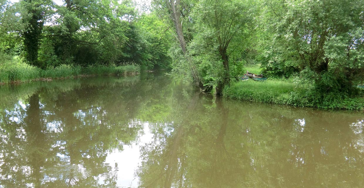 Bode in Gr&ouml;ningen