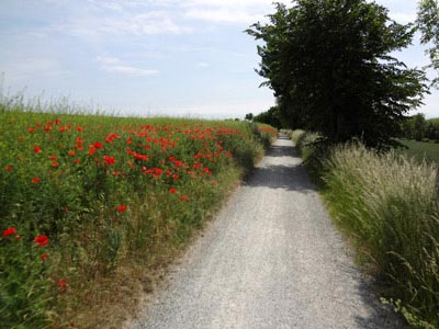 Boderadweg