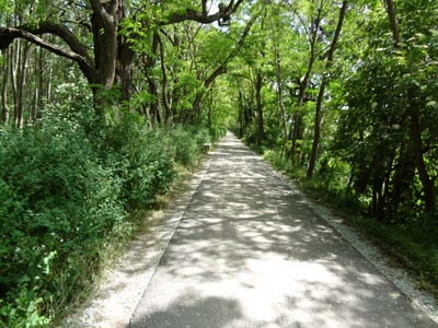 Boderadweg