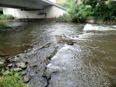 Bode unter der Br&uuml;cke