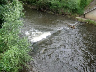 Bode unter der Br&uuml;cke