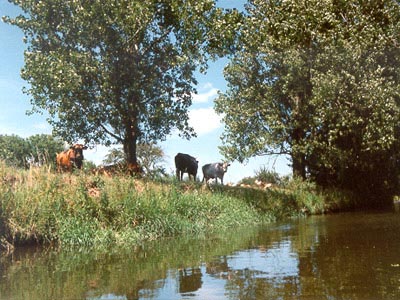 Bodepaddeltour