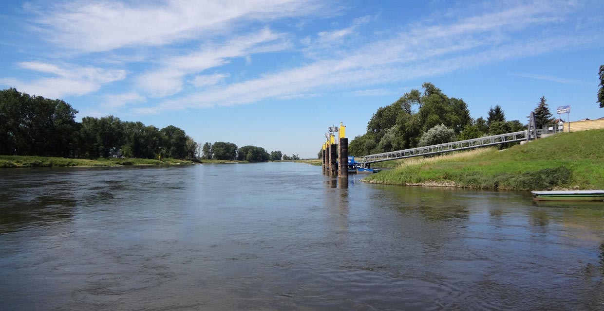 Elbe bei Elster