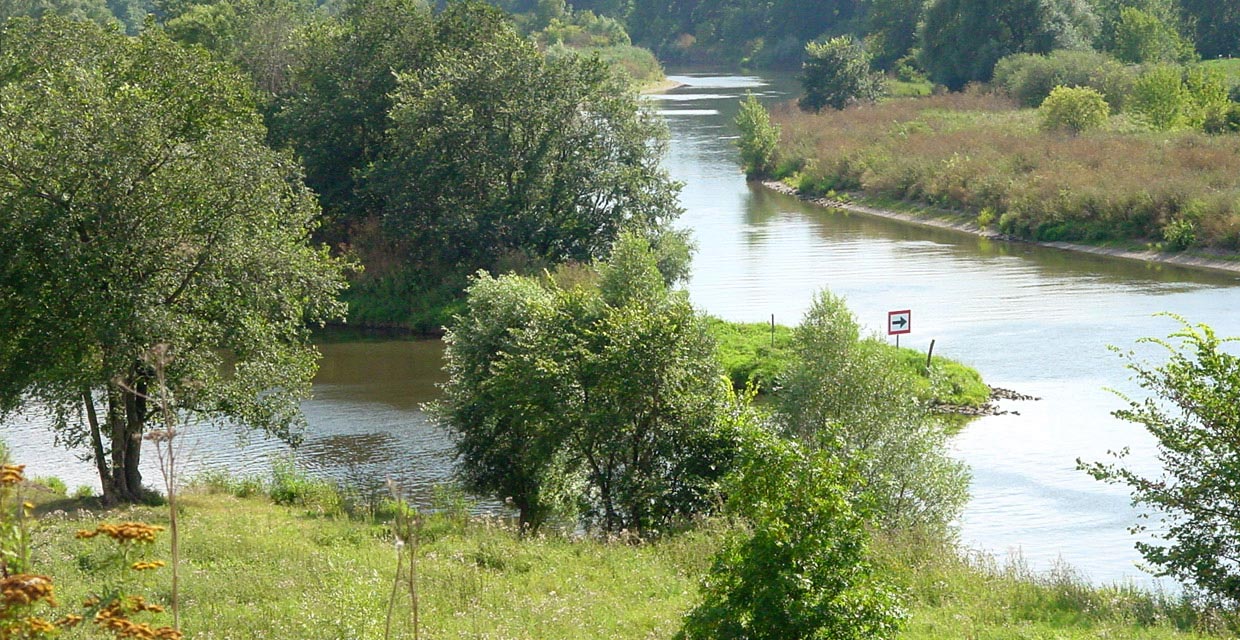 Mündung der Weißen Elster in die Saale Mündung der Weißen Elster in die Saale