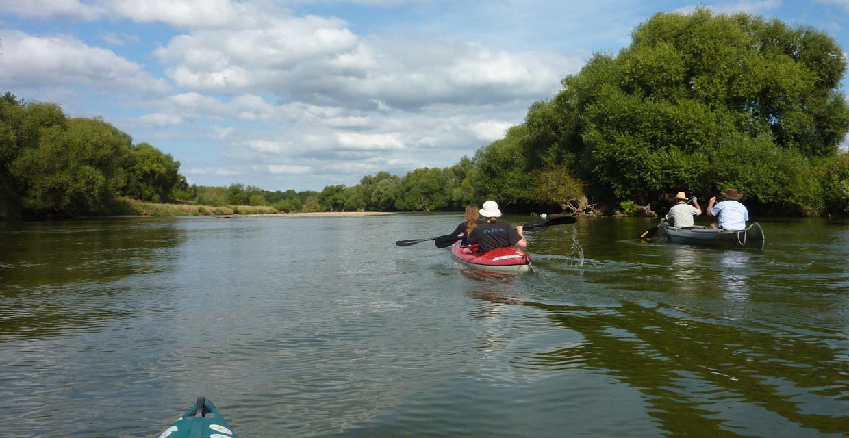 Paddler auf der Mulde Paddler auf der Mulde