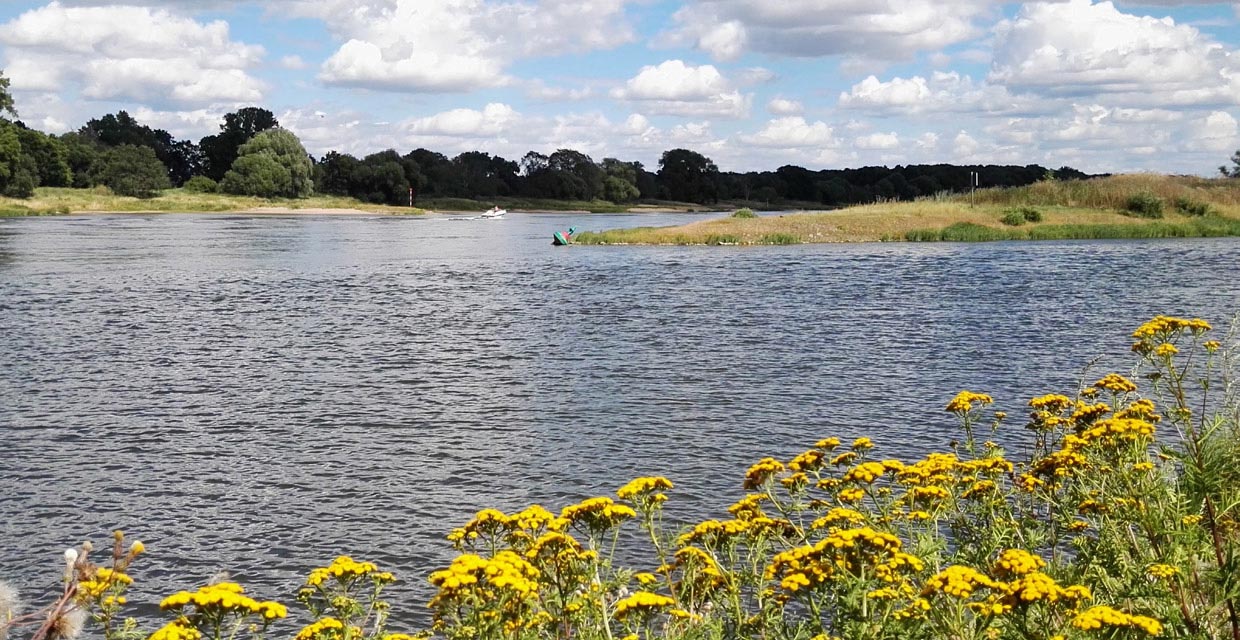 Saale-Mündung in die Elbe Saale-Mündung in die Elbe