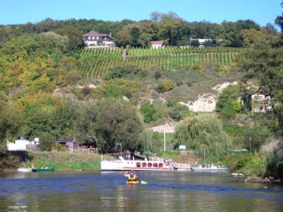 Saale kurz vor der Unstrutmündung im Blütengrund