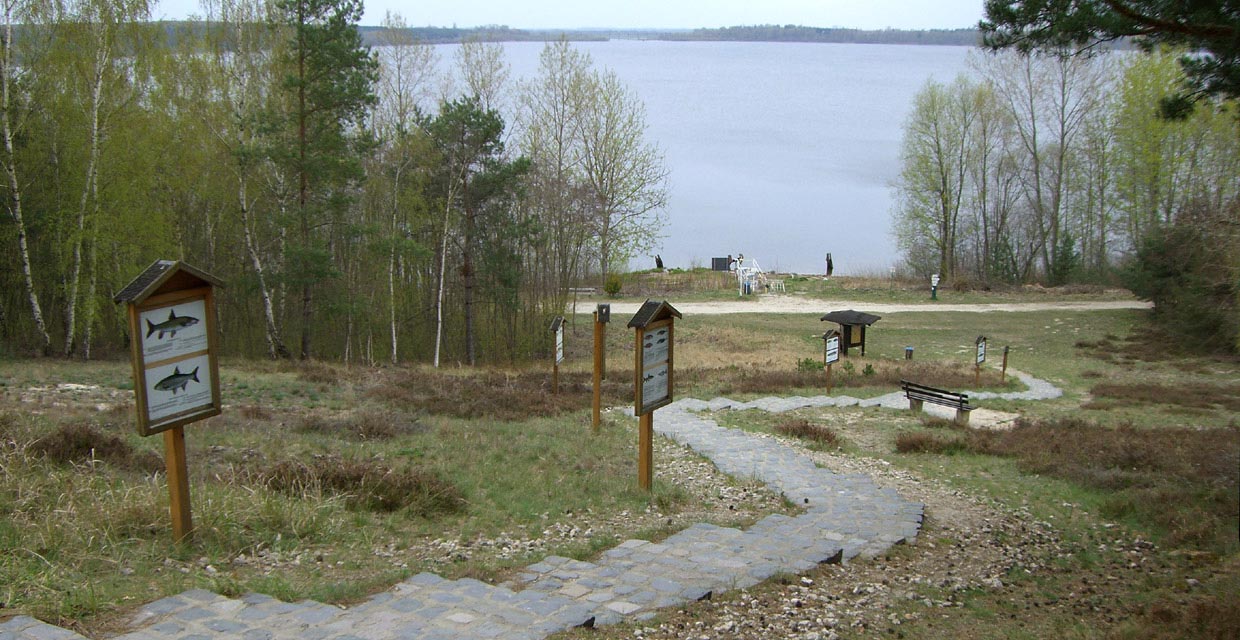 Muldestausee Muldestausee