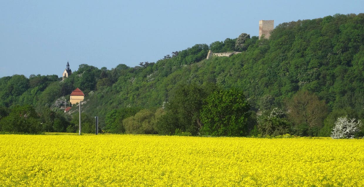 Blick nach Sachsenburg Blick nach Sachsenburg