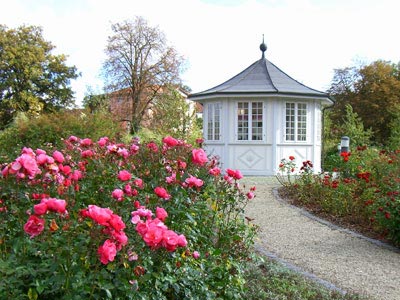 Rosengarten Bad Langensalza